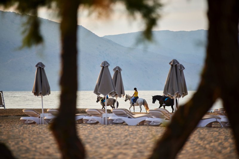 Mythos Palace Resort & Spa 27