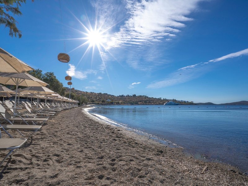Regia Mare Beach Hotel Bodrum 9