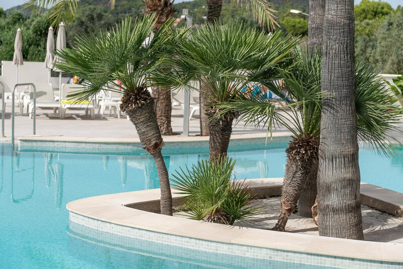 Hotel Cala Bona 17