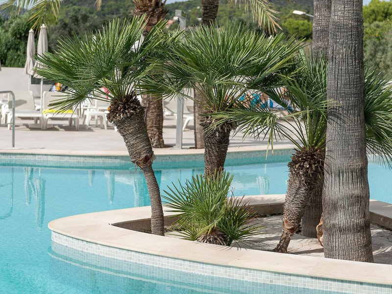 Hotel Cala Bona 18