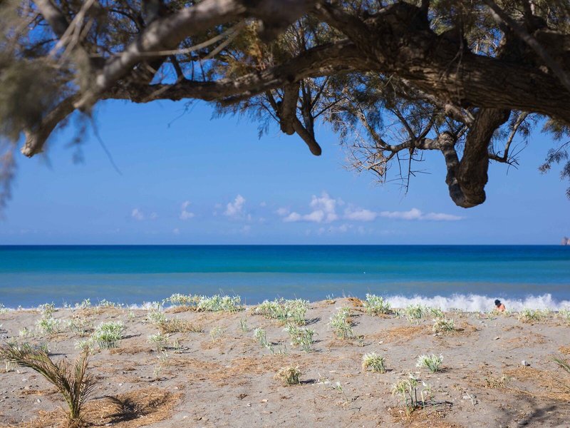 Alianthos Garden Hotel 8
