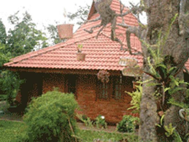 Tree Of Life Nature Resort 2