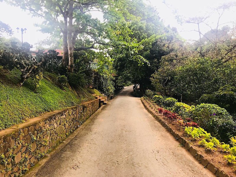 Tree Of Life Nature Resort 5