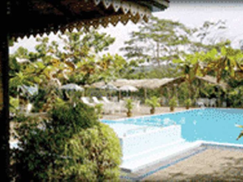 Tree Of Life Nature Resort 9