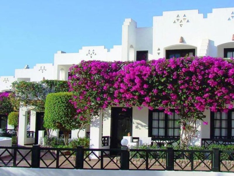 Verginia Sharm Resort 5