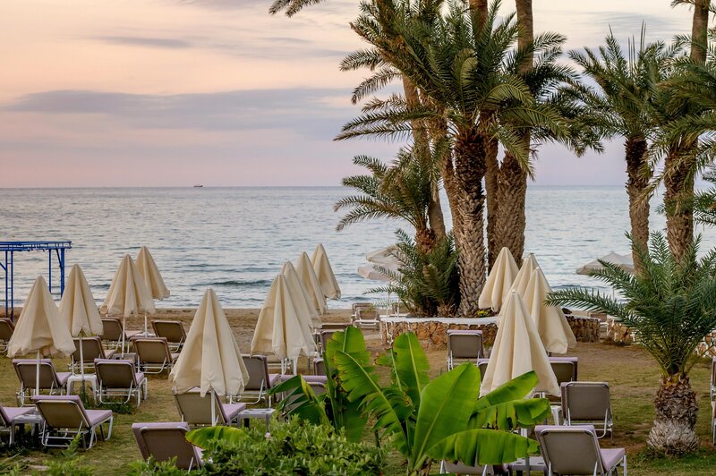 Zeus Hotels Palm Beach 12