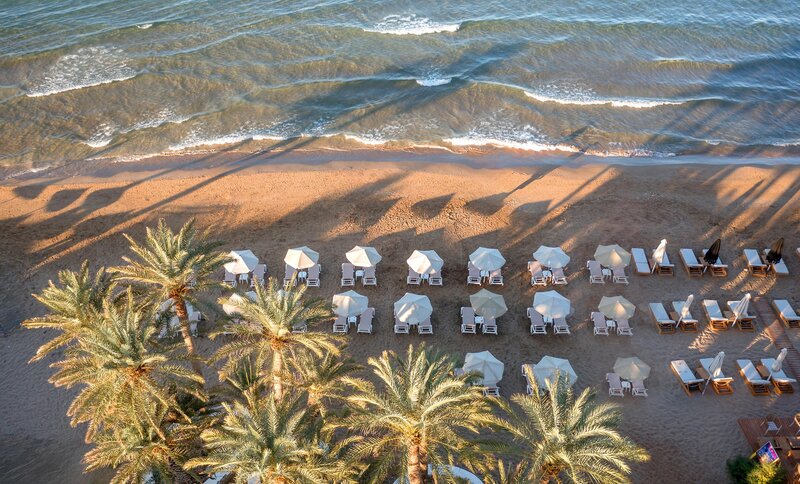 Zeus Hotels Palm Beach 13