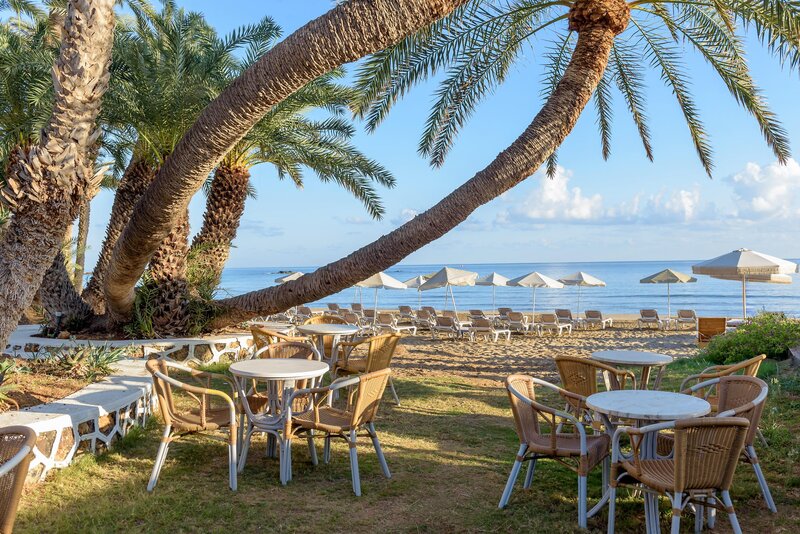 Zeus Hotels Palm Beach 14