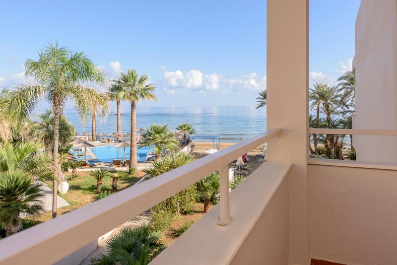 Zeus Hotels Palm Beach 16