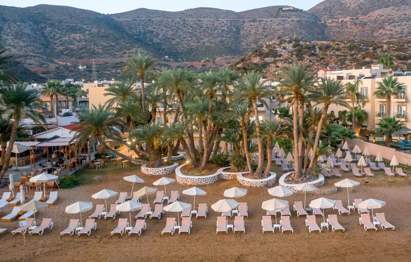 Zeus Hotels Palm Beach 28