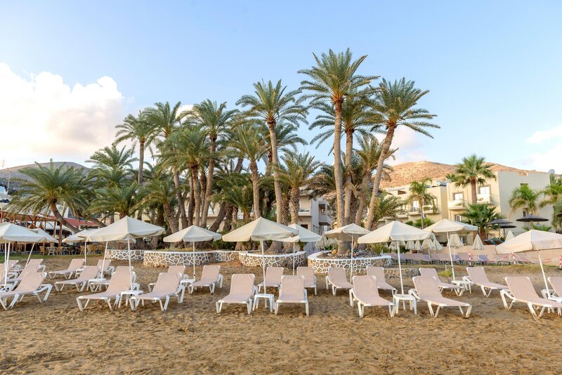 Zeus Hotels Palm Beach 37