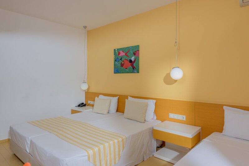 Zeus Hotels Palm Beach 65