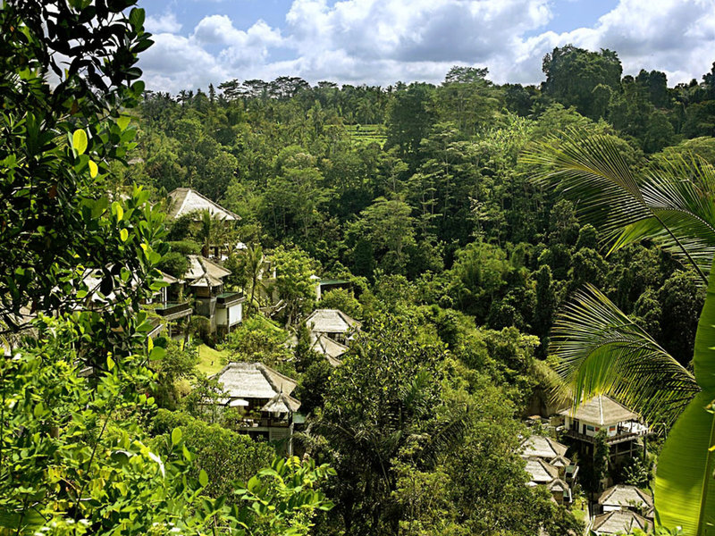 Hanging Gardens Of Bali 3