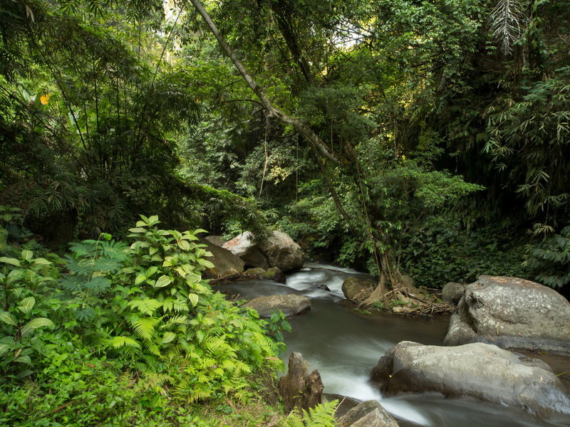Hanging Gardens Of Bali 5