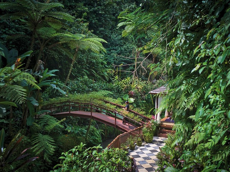 Hanging Gardens Of Bali 24