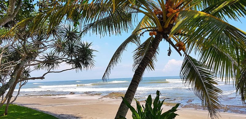 Puri Dajuma Beach Eco-Resort & Spa 12
