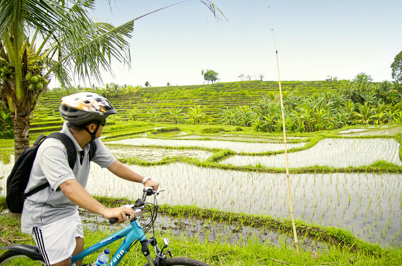 Puri Dajuma Beach Eco-Resort & Spa 27