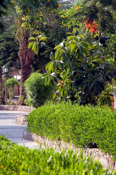 Sol y Mar Paradise Beach 32