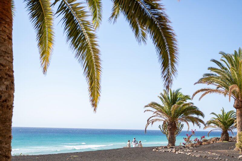 Iberostar Playa Gaviotas Park 29