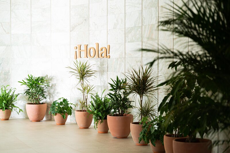 Iberostar Waves Gaviotas Park 48