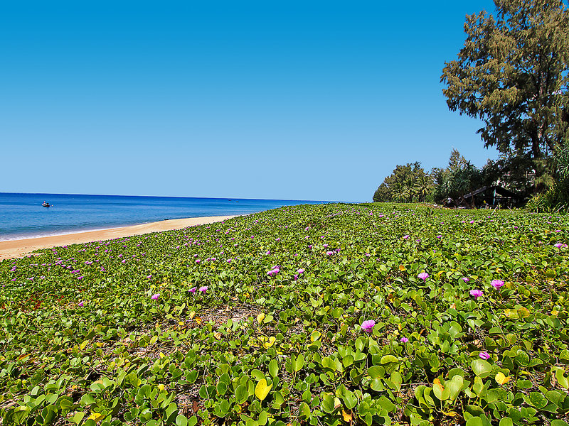 Maikhao Palm Beach Resort 18