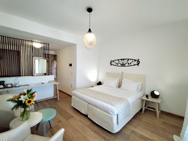 Tharroe of Mykonos 30