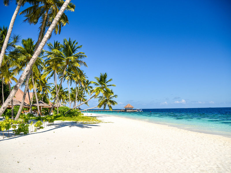 Reethi Faru Resort 6