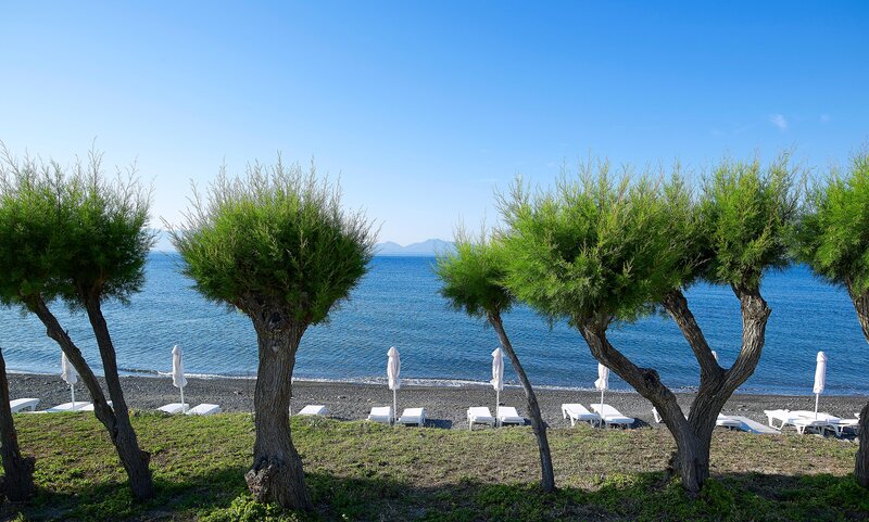 Dimitra Beach Hotel & Suites 7