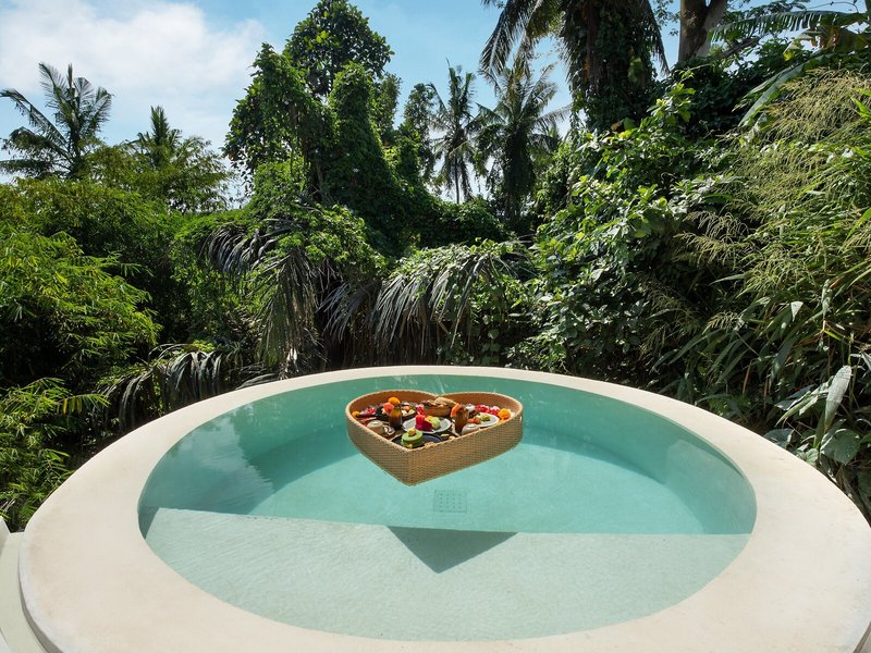Suara Alam Ubud 19