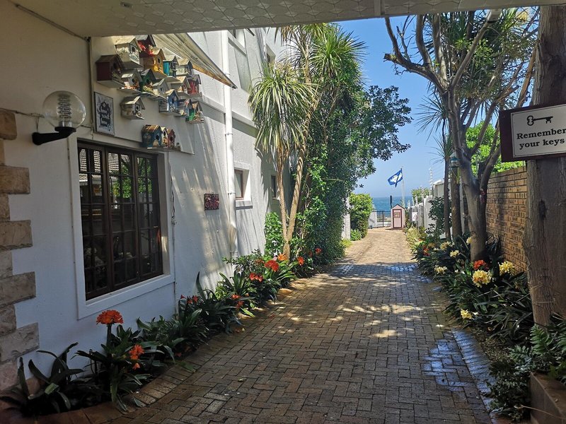 Misty Waves Boutique 3