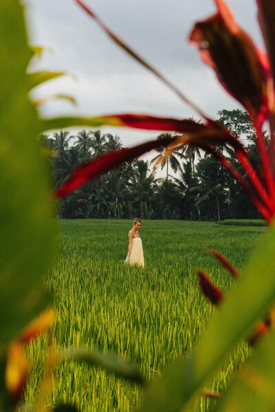 Paradisus by Meliá Bali 170