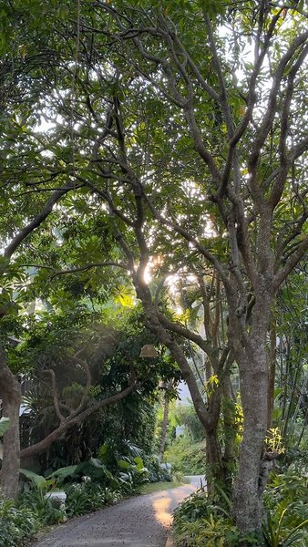 Rawi Warin Resort & Spa 21