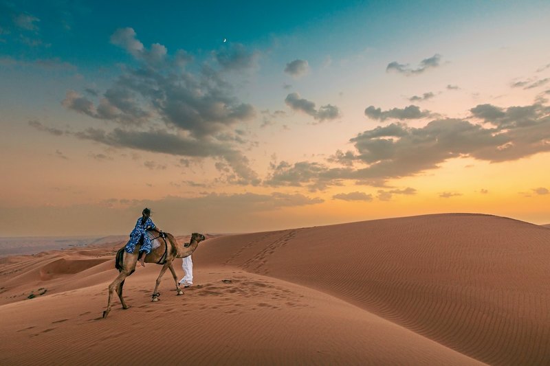 Thousand Nights Camp 30