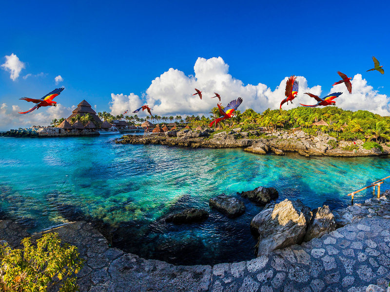 Hotel Xcaret Mexico 7