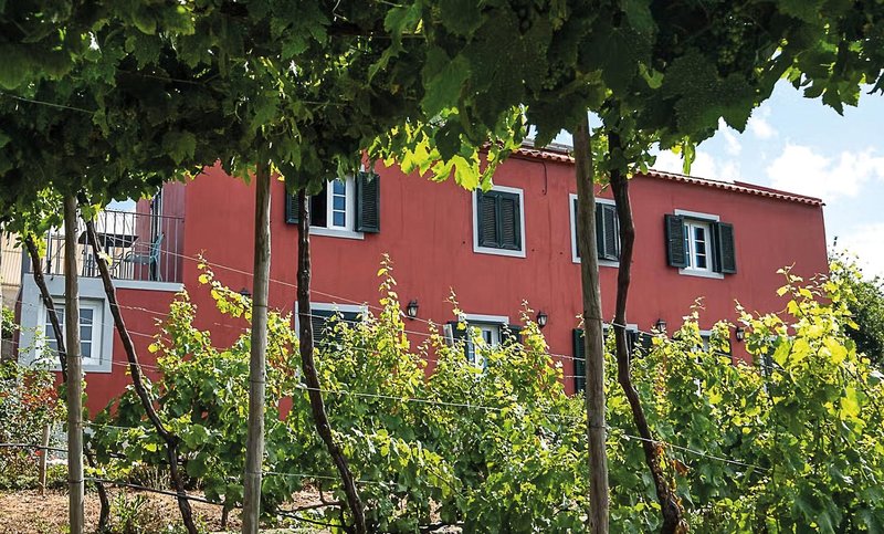 Quinta das Vinhas 12