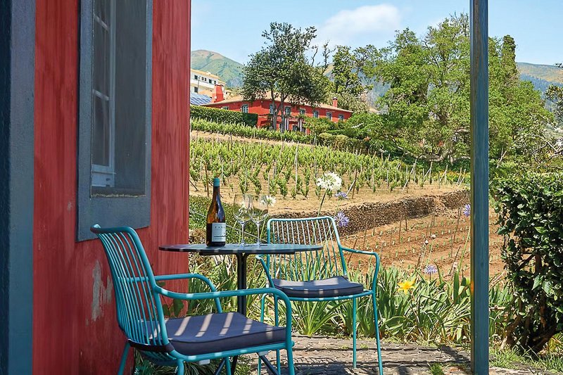 Quinta das Vinhas 17