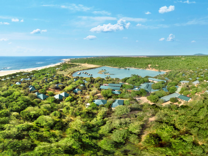 Cinnamon Wild Yala 1