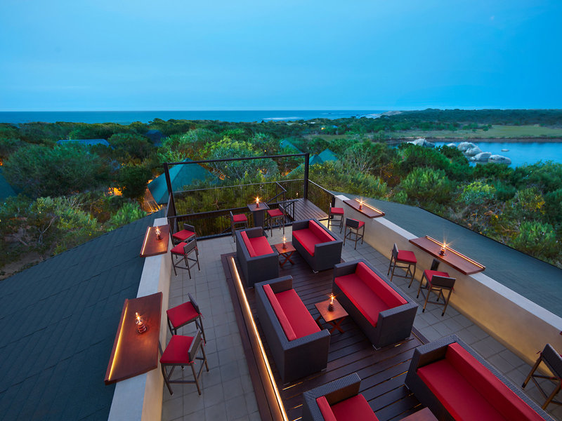 Cinnamon Wild Yala 3