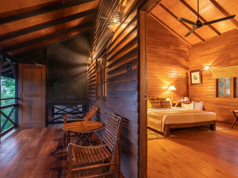 Cinnamon Wild Yala 8