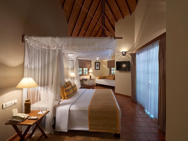 Cinnamon Wild Yala 12