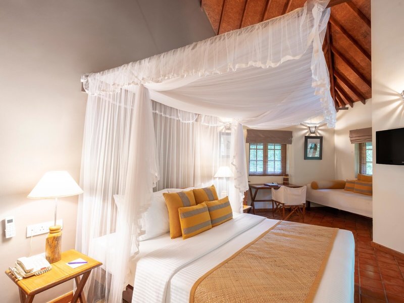 Cinnamon Wild Yala 13