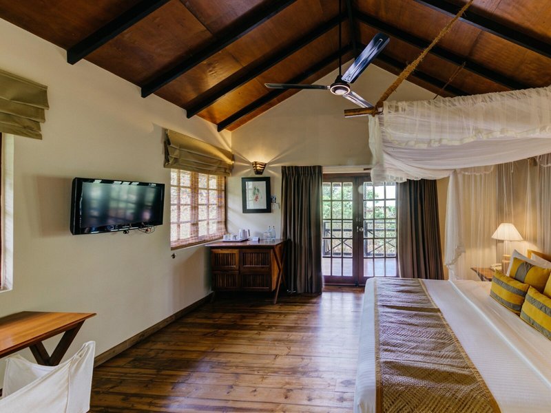 Cinnamon Wild Yala 14