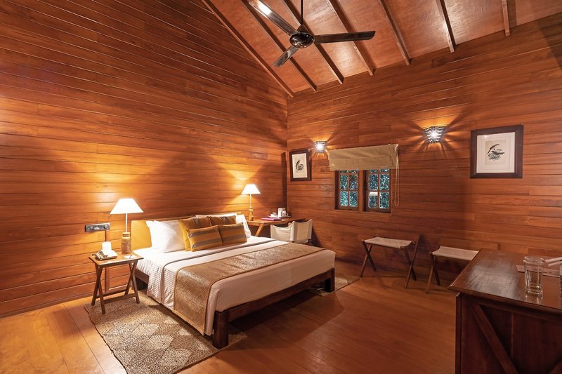 Cinnamon Wild Yala 16