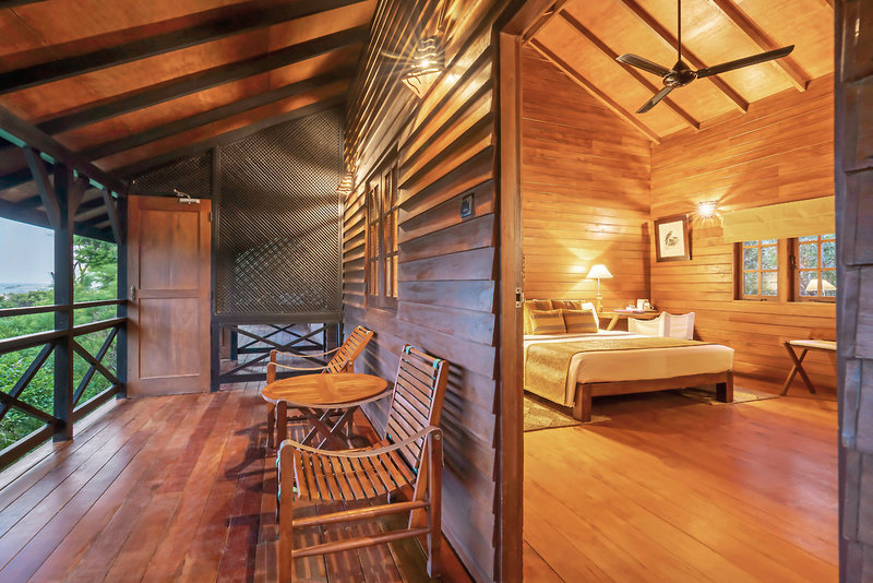 Cinnamon Wild Yala 17