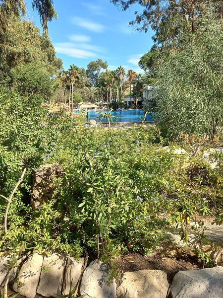 Tunisia Lodge 2
