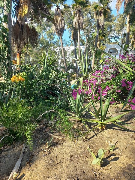 Shell Beach Hotel & Spa 4