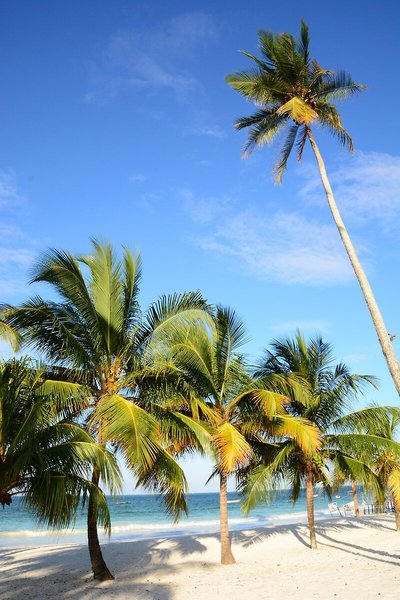 VOI Kiwengwa Resort 6