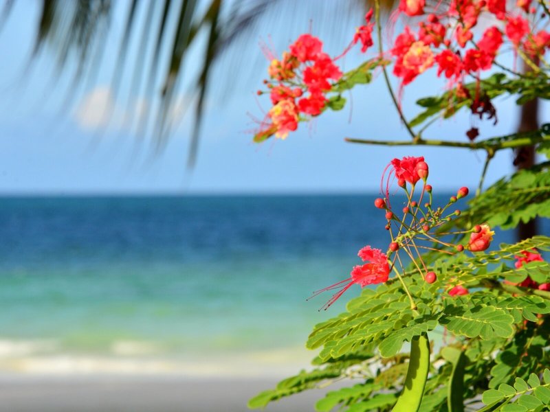 VOI Kiwengwa Resort 12