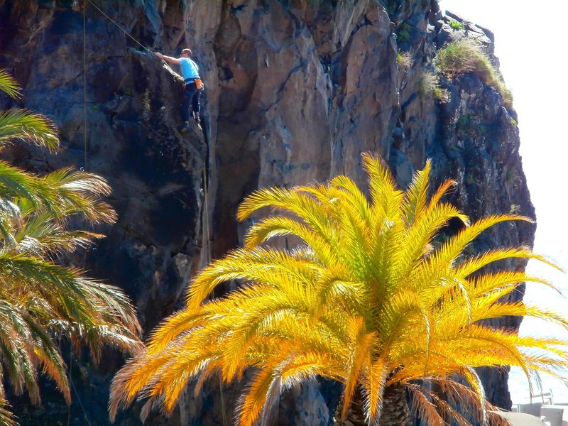 Cheerfulway Bravamar 23