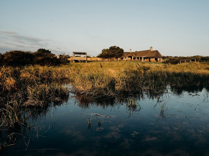 Amakhala Game Reserve - Hlosi Game Lodge 1
